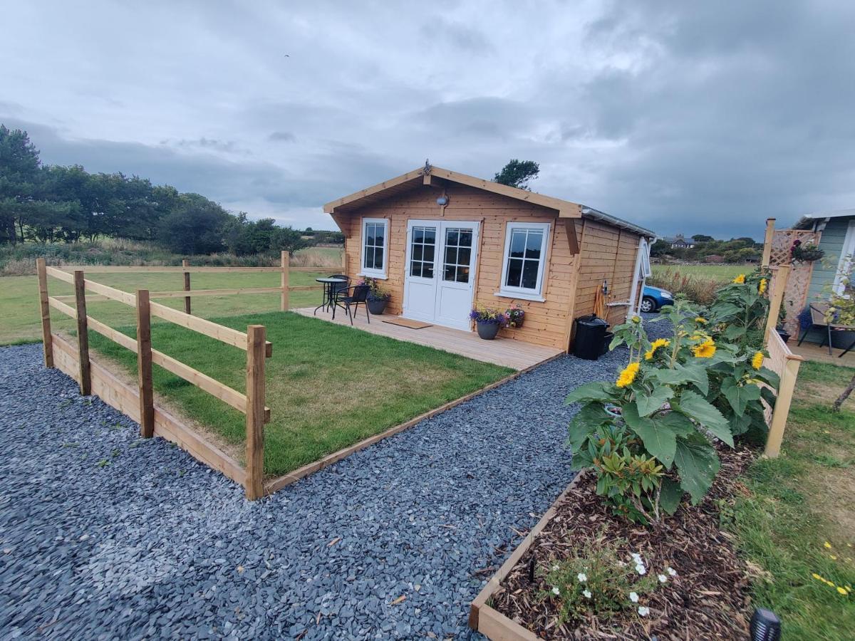 Bumble Bee Cabin Bootle  Exteriör bild